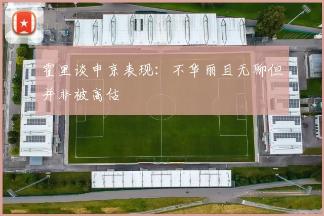 霍里谈申京表现：不华丽且无聊但并非被高估