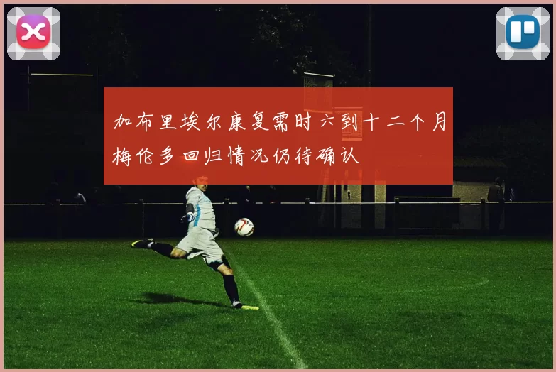 加布里埃尔康复需时六到十二个月梅伦多回归情况仍待确认